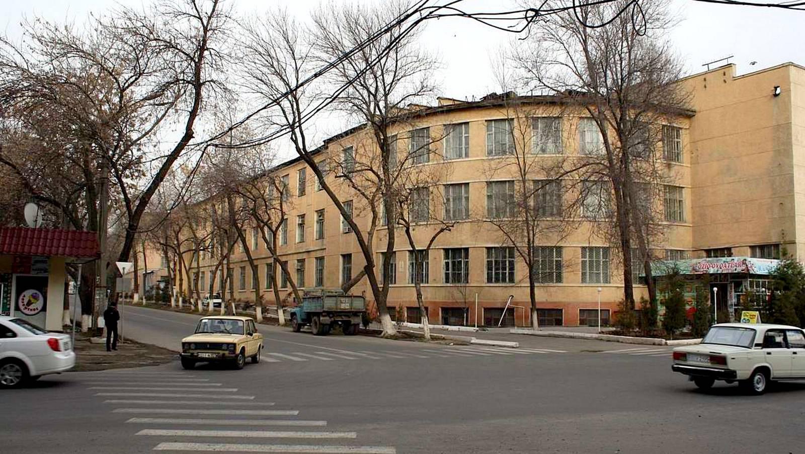 Здание Ирригационного института